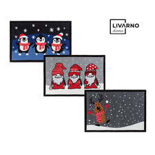 Zerbino cattura sporco 40x60